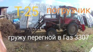 Т-25 погрузчик . Гружу перегной в Газ 3307.Загрузил 2 машины