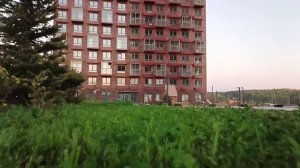 цветы