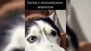 Спокойной ночи