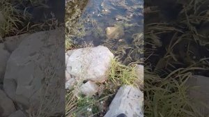 магнитная рыбалка