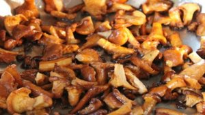 Консервированные жареные лисички