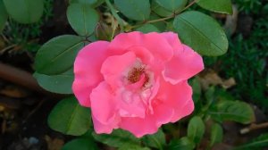 21..09..2025  кмр   (57)