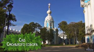 Сад Смольного собора (2025)