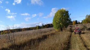 Едем в лес.mp4