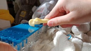 новый Басик? конкурс? новый набор резиночек ?Бумбокс.