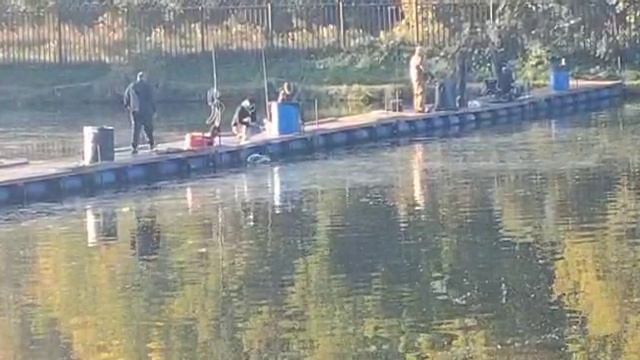 Утро на водоёме.Форель