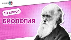 10 класс. Биология. Введение в Реакции Матричного Синтеза