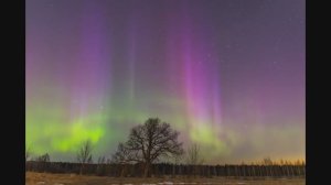 ДУБ И ИЛОН МАСК