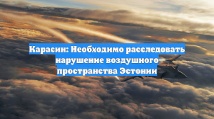 Карасин: Необходимо расследовать нарушение воздушного пространства Эстонии