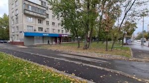 Видео Трафика