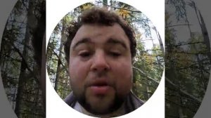 Отчёт по грибам груздям