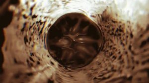 Red Erinia — Оболочка