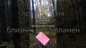 Барьеры, препятствия в пути близнецов❌