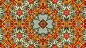 Осенние Цветы!!! Осенний калейдоскоп 4!!!