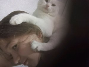 стрим