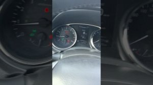 petal_20250922_100713.mp4