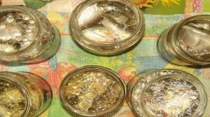 Консервы из речной рыбы