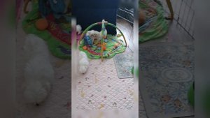 Детский сад😁 Есть свободные малыши. ❤️