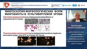 Микробиота крови человека