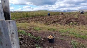 Дела огородные. Запасы на зиму.