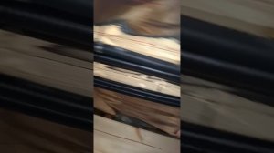 1000035153.mp4 (Собака смотрит на монтаж электропроводки в доме А-фрейм)