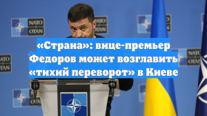«Страна»: вице-премьер Федоров может возглавить «тихий переворот» в Киеве