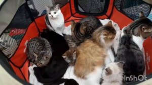 Сентябрь 2025 Выставка.