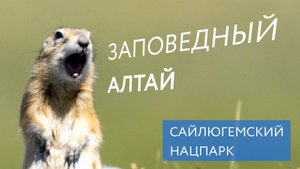 Горный Алтай: первозданная природа | Граница с Монголией, Горы, Ледники, Животные и Птицы
