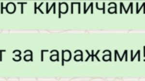 petal_20250922_204937.mp4