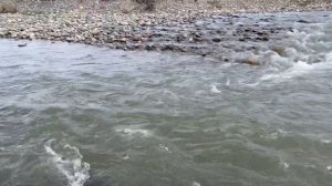 5 апреля 2025 г.