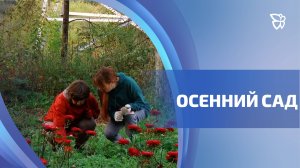 Дни заботы проходят в возрождённом фруктовом саду Кузьмы Рудого