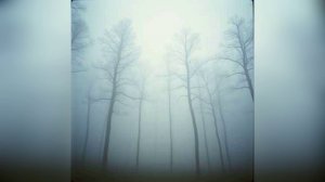 Отголоски мечты