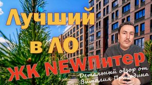 NewПитер (НьюПитер) от ГК Трест в Новоселье. Детальный обзор