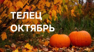 ТЕЛЕЦ. ТАРО ПРОГНОЗ НА ОКТЯБРЬ