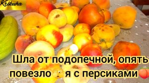 влог/я с персиками,опять повезло🍑