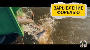 Зарыбление форелью  100 кг. 22-09-25