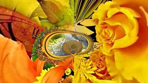 Осенние Восхитительные Цветочные веера 4!!!