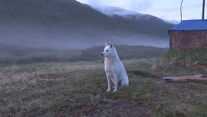 На Еуваяме - вечер.