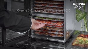 Приготовление закусок в электросушилке STINGRAY ST-FD737A