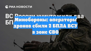 Минобороны: операторы дронов сбили 2 БПЛА ВСУ в зоне СВО