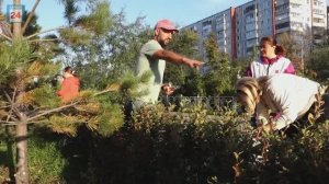 Ландшафтный мастер-класс прошёл в столице Хакасии: практическим участком стали рокарии на Кирова