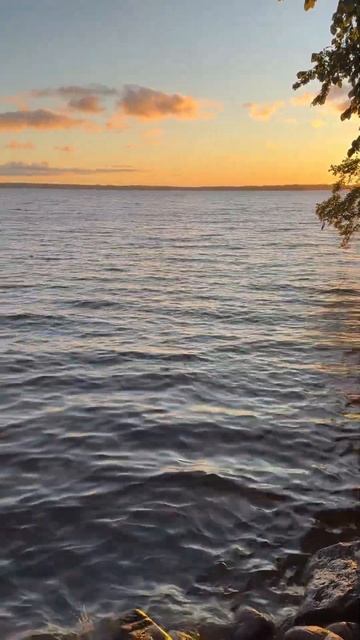 Здесь могла бы быть ваша реклама рябиновой настойки.