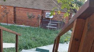 СОЧИ ГОРНОЕ ЛОО УТРО 22.09.2025