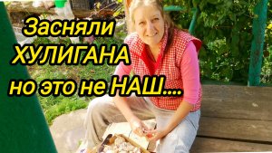 КУПИЛИ ДОМ В ДЕРЕВНЕ | ХУЛИГАН НО НЕ НАШ | Дом в деревне | Деревенские будни