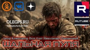 Шальная Пуля