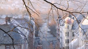 За окнами ноябрит, сл. В. Шентала, муз. и исп. ИИ SUNO