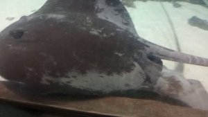 Мы в Москве