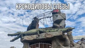 Крокодиловы слезы. «Вечерний Ейск» от 2025.09.22