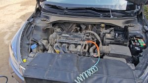 ️✅️ ️KIA Rio 1.6 2020 96291км: чистка инжектора (Бензиновый ДВС)