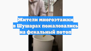 Жители многоэтажки в Шушарах пожаловались на фекальный потоп